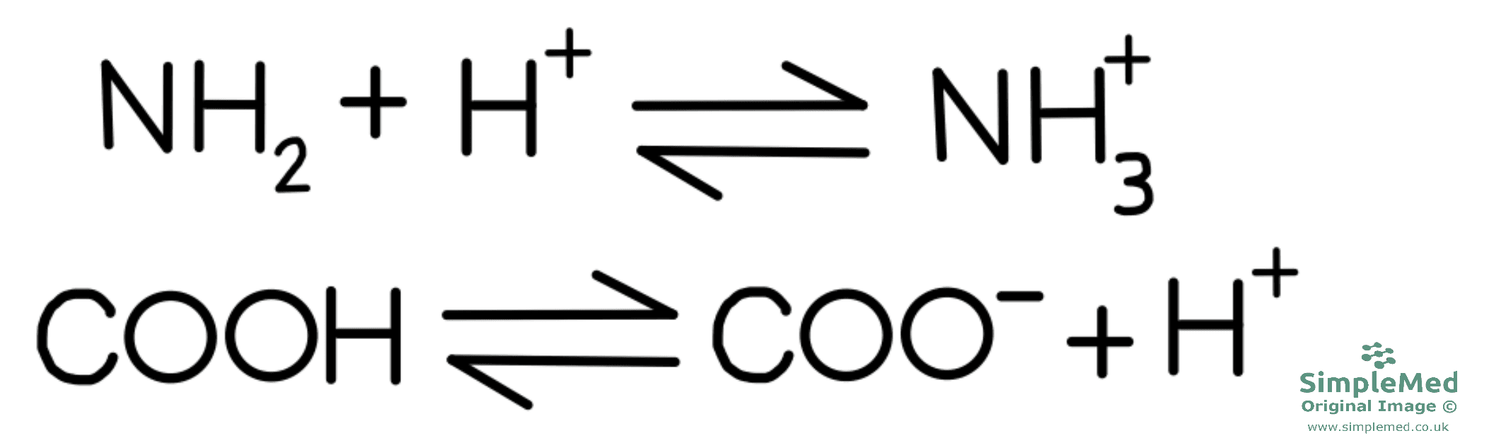 Amino Acid Charge Reaction SimpleMed