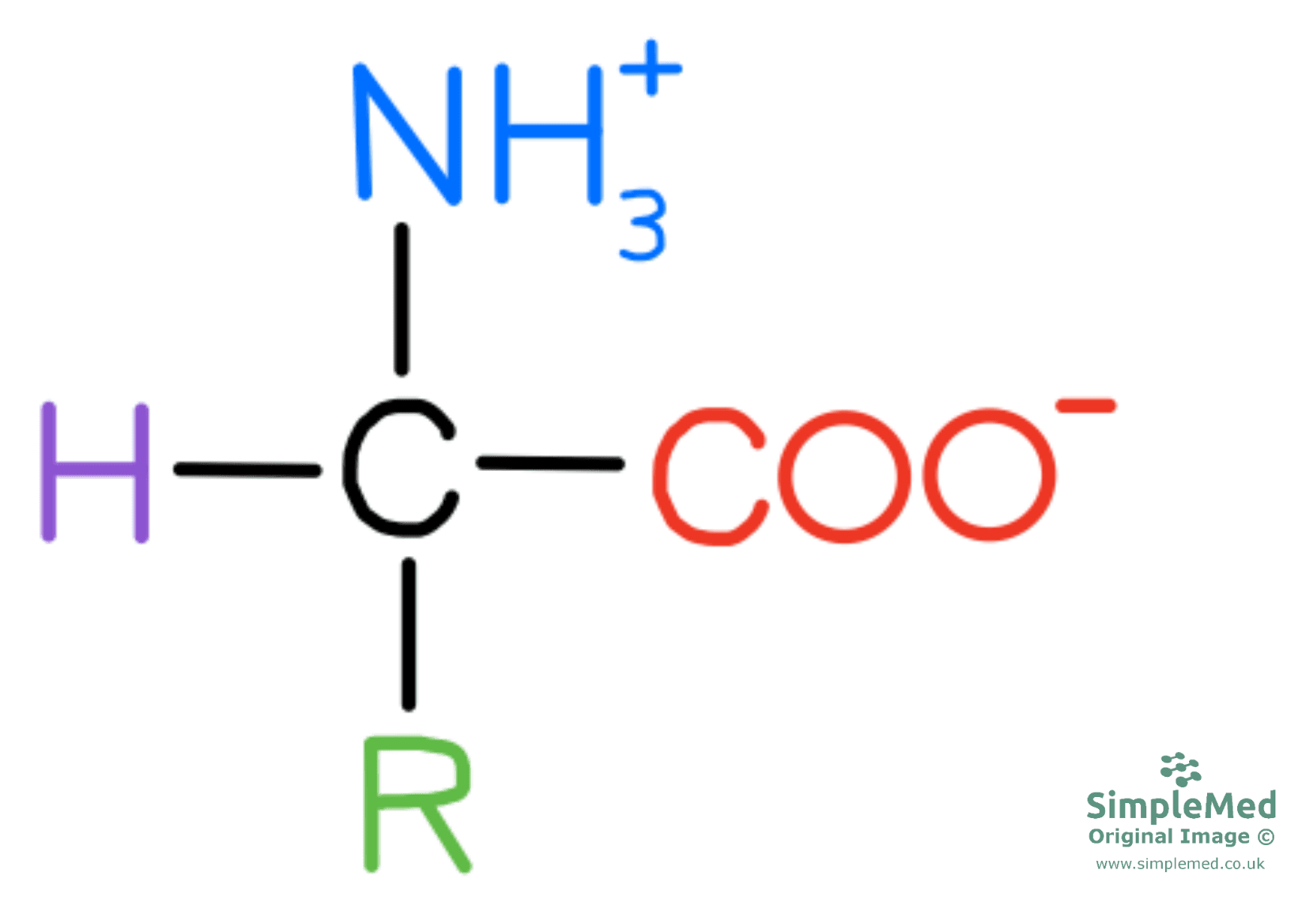 Amino Acid Zwitterion SimpleMed