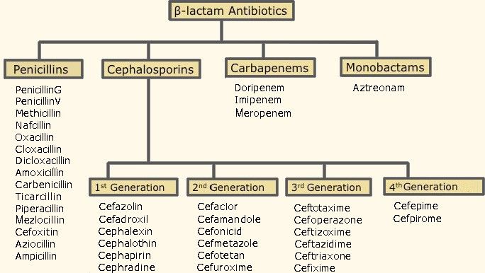 Beta Lactam Antibiotics SimpleMed