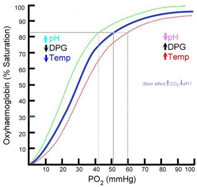 Bhor Effect Graph SimpleMed