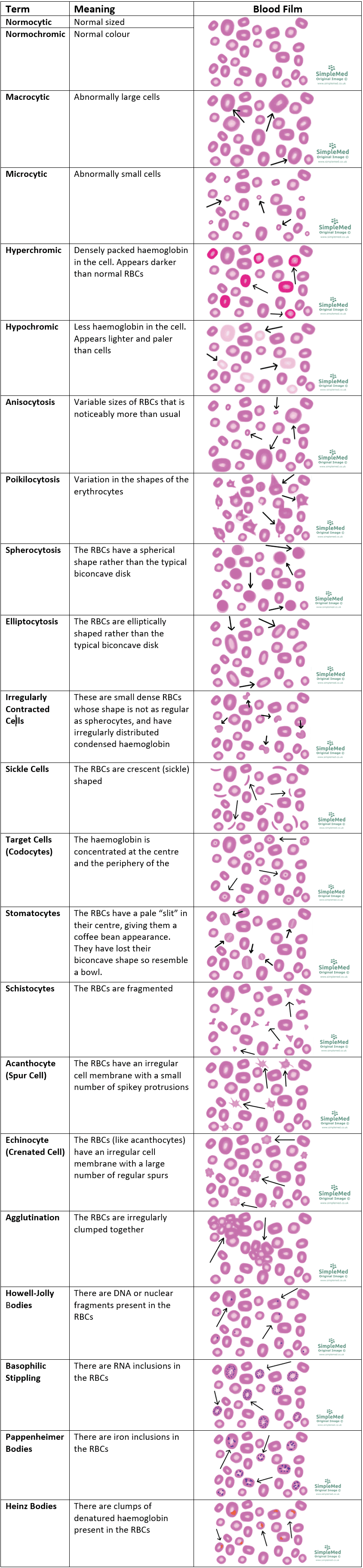 Different Blood Film SimpleMed