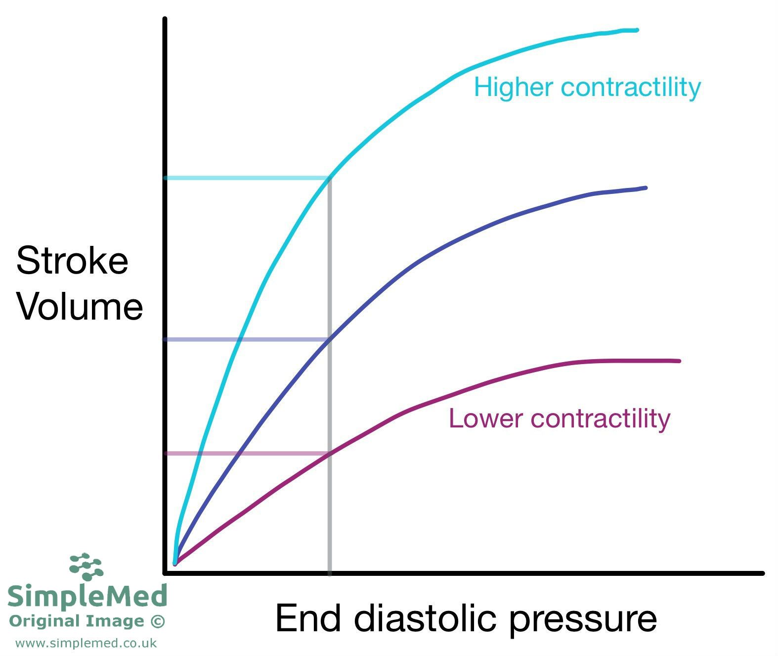 Frank Starling Curve SimpleMed