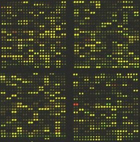 Microarray Comparison SimpleMed