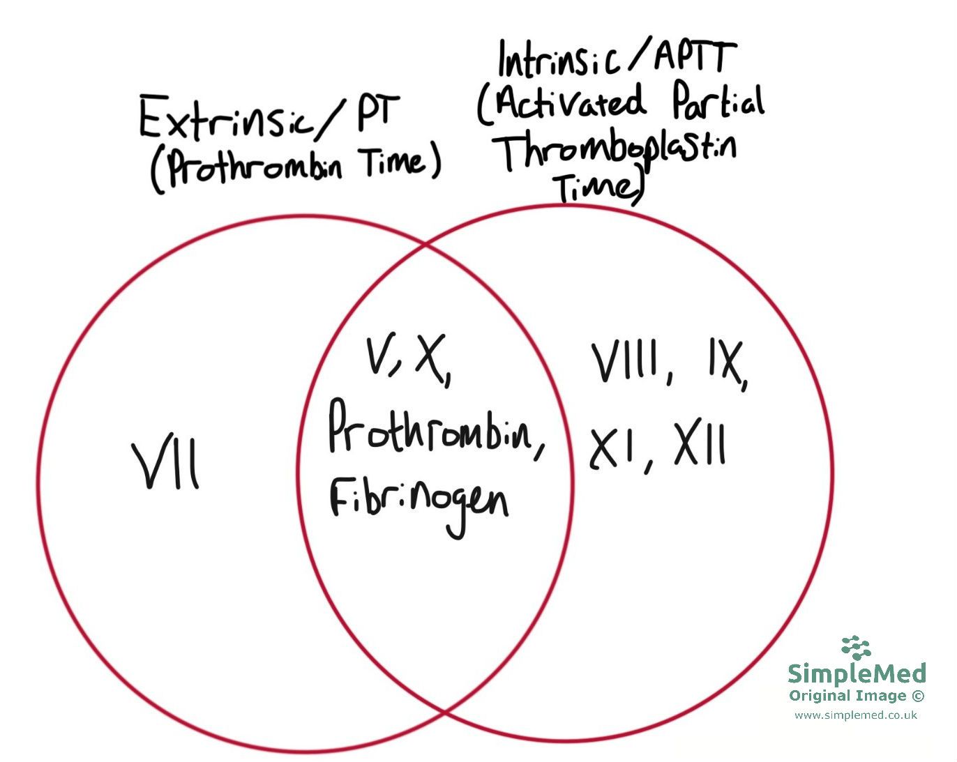 Clotting factors intrinsic and extrinsic pathways SimpleMed