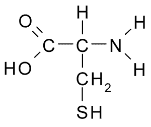 Cysteine Structure Diagram SimpleMed