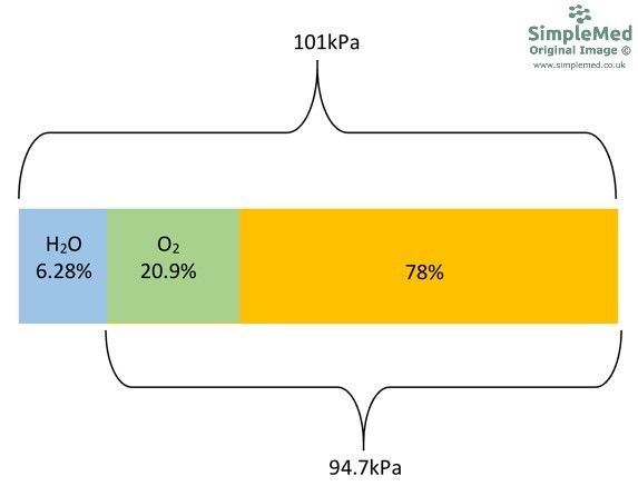 Distribution of the Partial Pressure of Gases and Water SimpleMed 