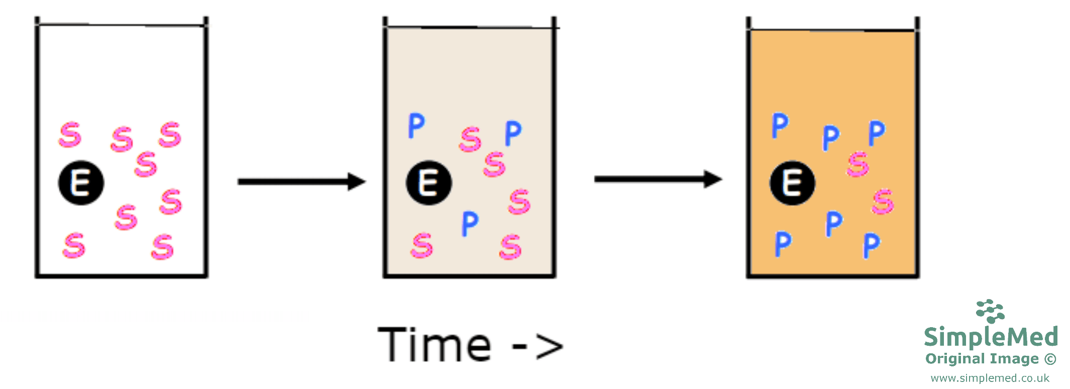 Enzyme Assay SimpleMed