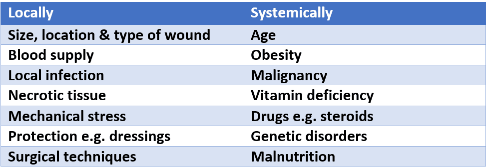 Factors Affecting Regeneration and Repair SimpleMed