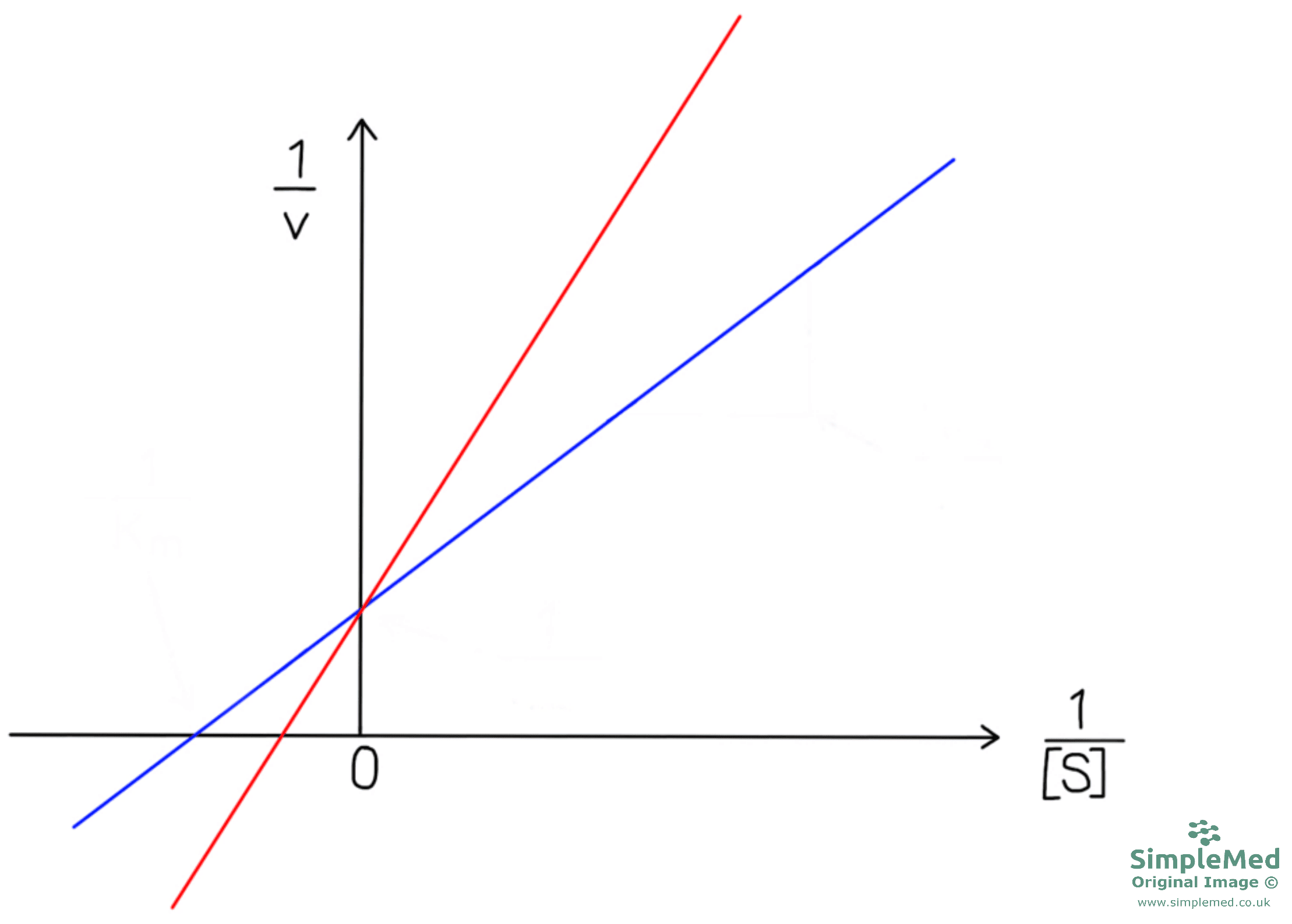 Lineweaver-Burk Plot with a Reversible Competitive Inhibitor SimpleMed