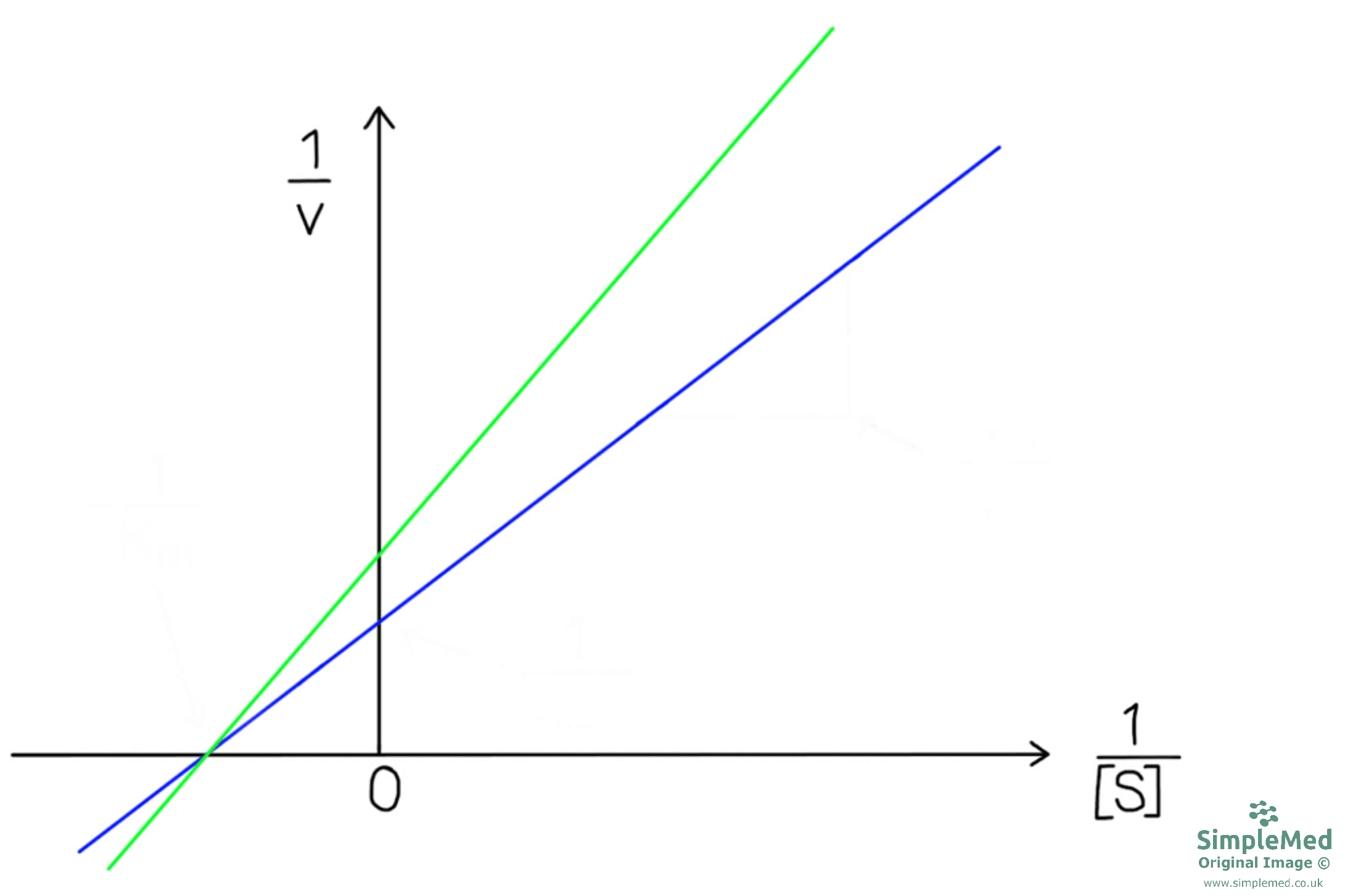 Lineweaver-Burk Plot With Reversible Non-competitive Inhibitor SimpleMed