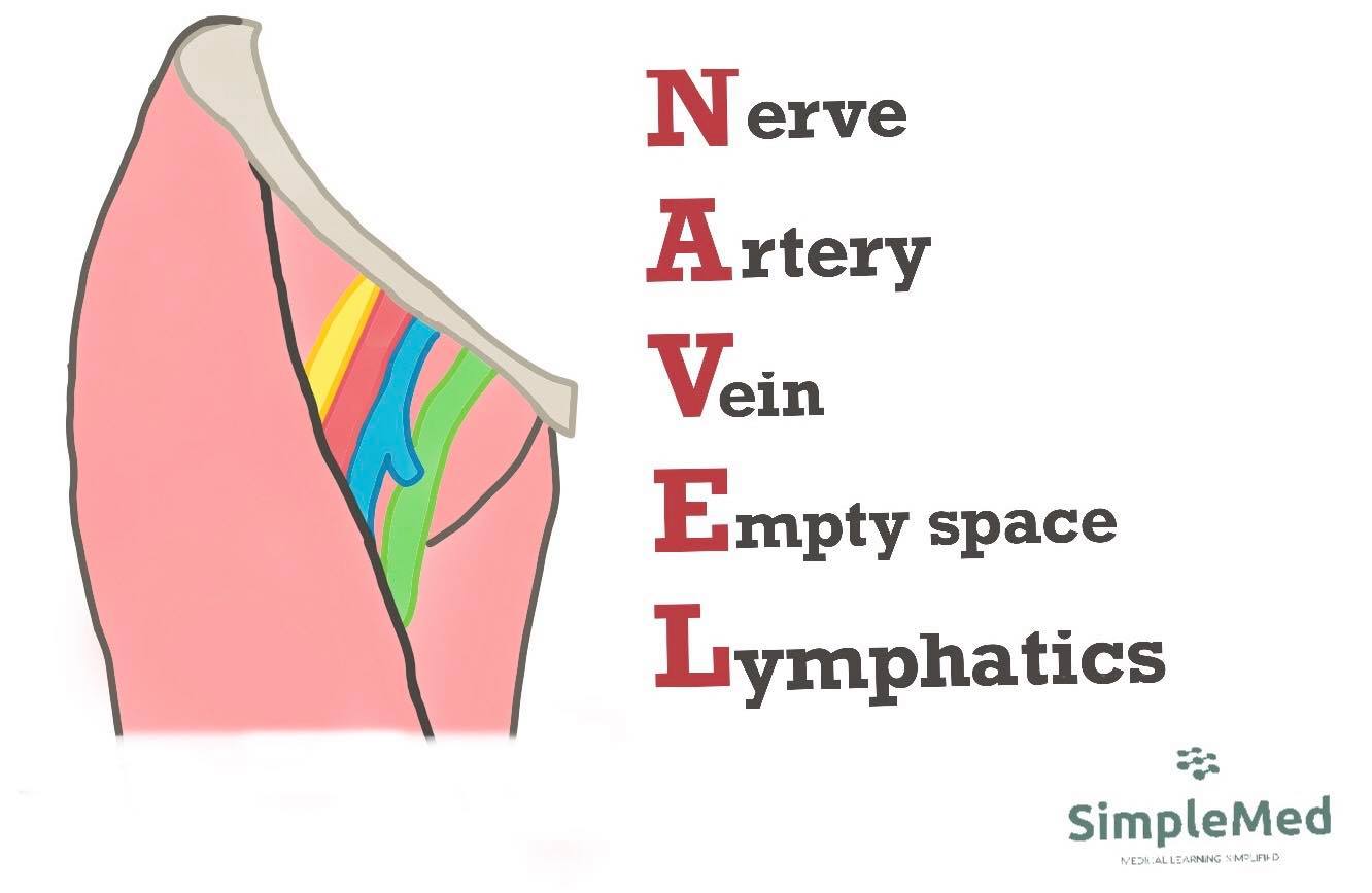 NAVEL Mnemonic SimpleMed