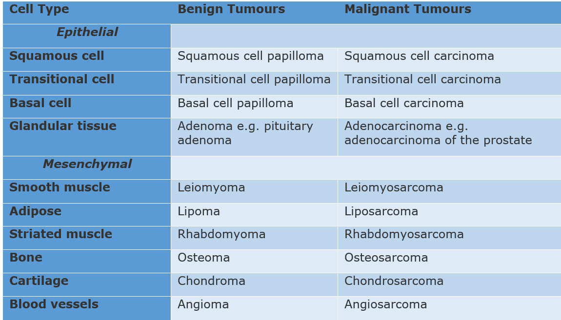 Neoplasm Nomenclature SimpleMed