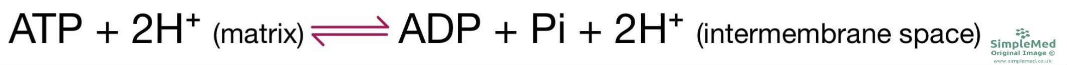 Oxidative Phosphorylation Equation SimpleMed