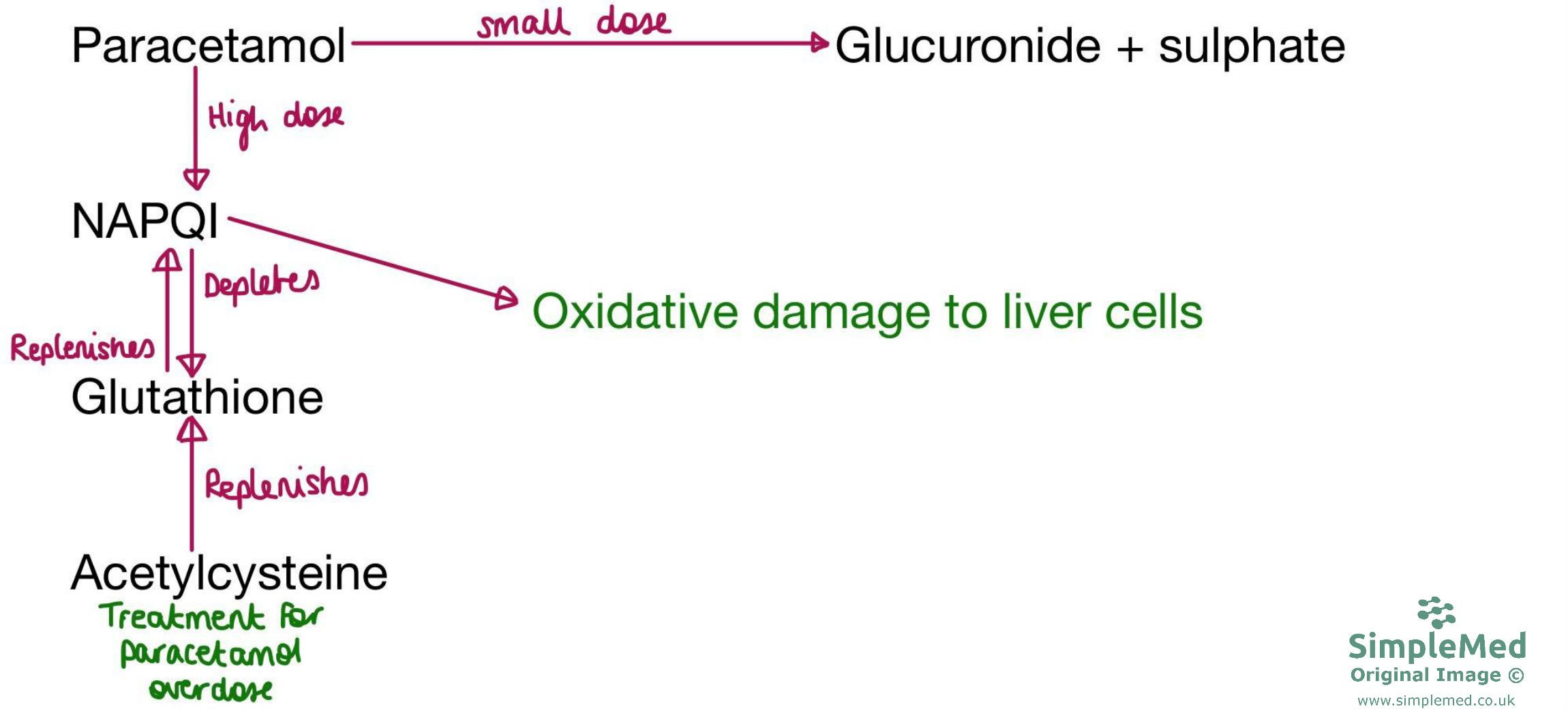 Paracetamol Metabolism Diagram SimpleMed