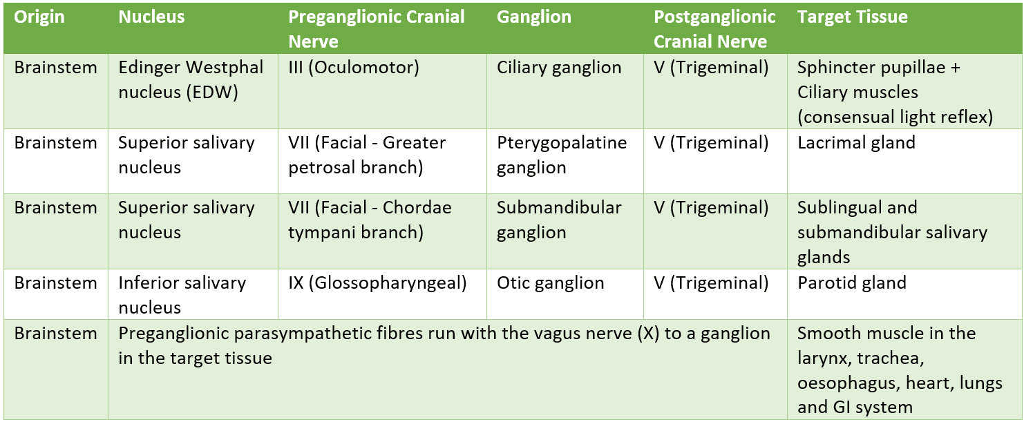 Parasympathetic Pathways SimpleMed