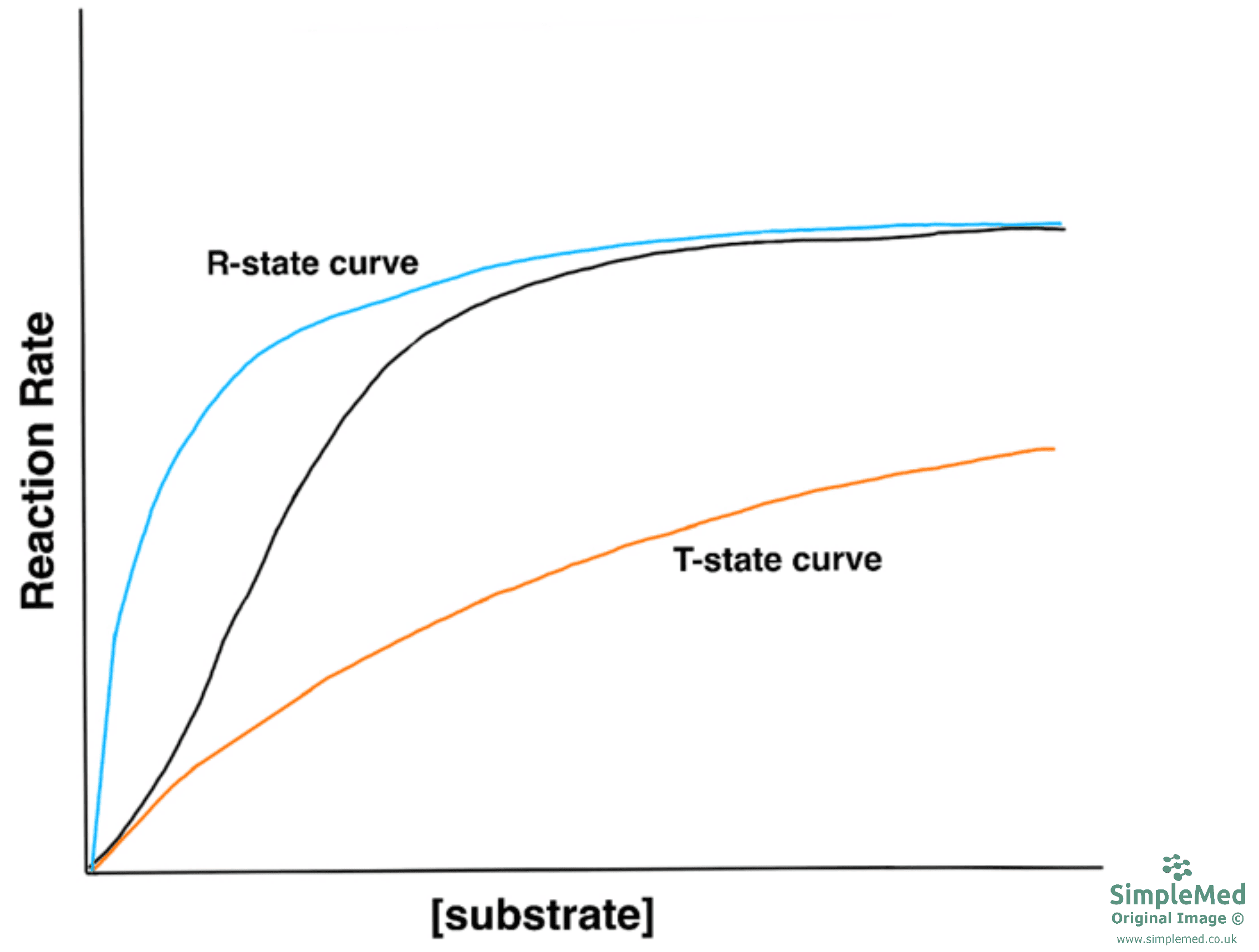 Graph of the R State and T State SimpleMed