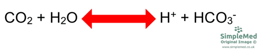 Reaction Between Carbon Dioxide and Water SimpleMed