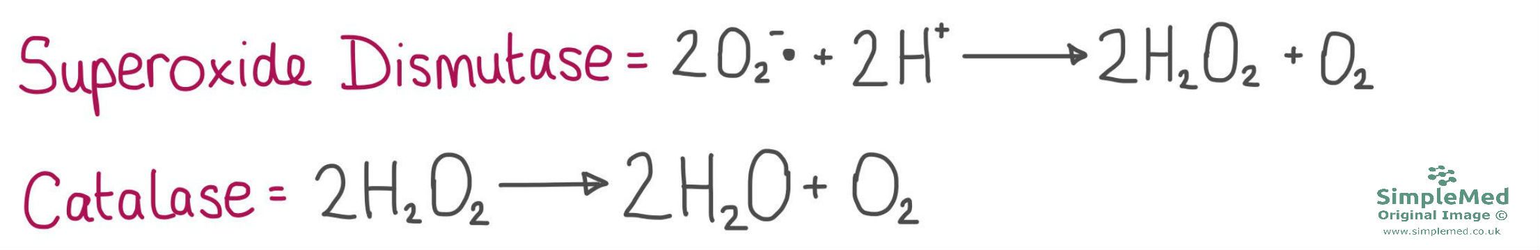Superoxide Dismutase and Catalase Reactions Diagram SimpleMed