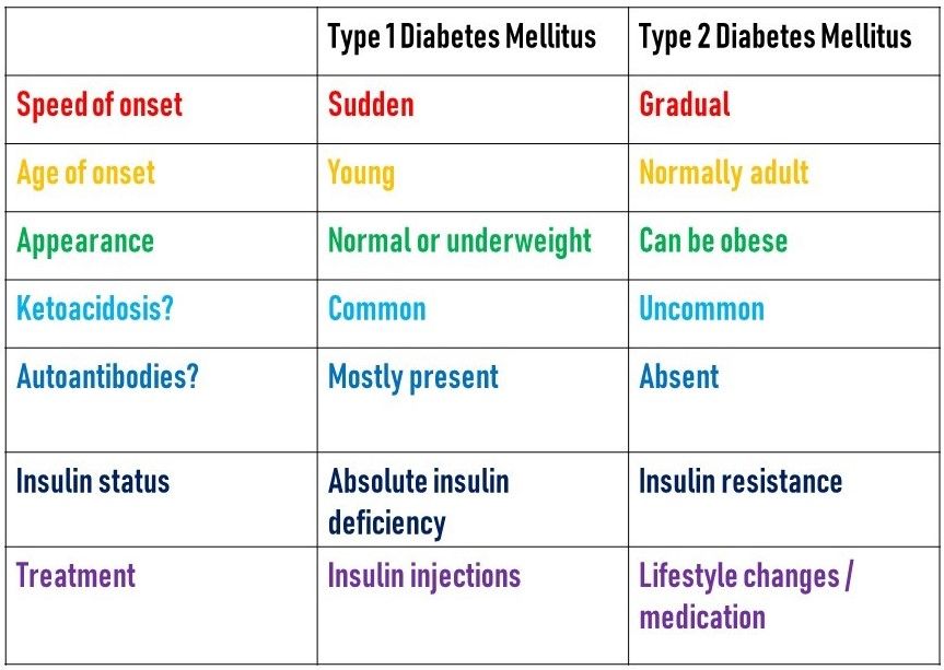 Comparison Between Type 1 and 2 Diabetes Mellitus SimpleMed