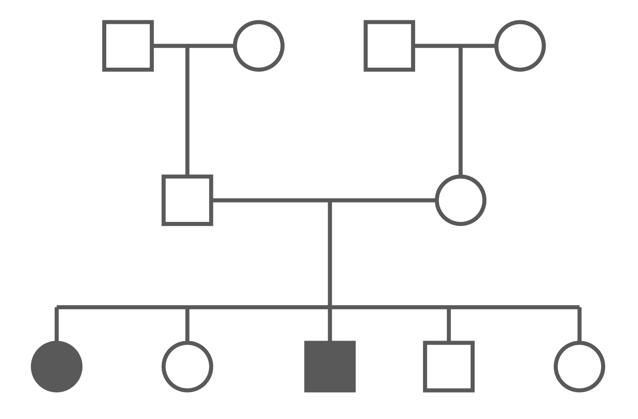 Autosomal Recessive Pedigree Chart SimpleMed