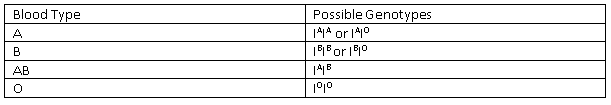 Blood Group Genotypes SimpleMed